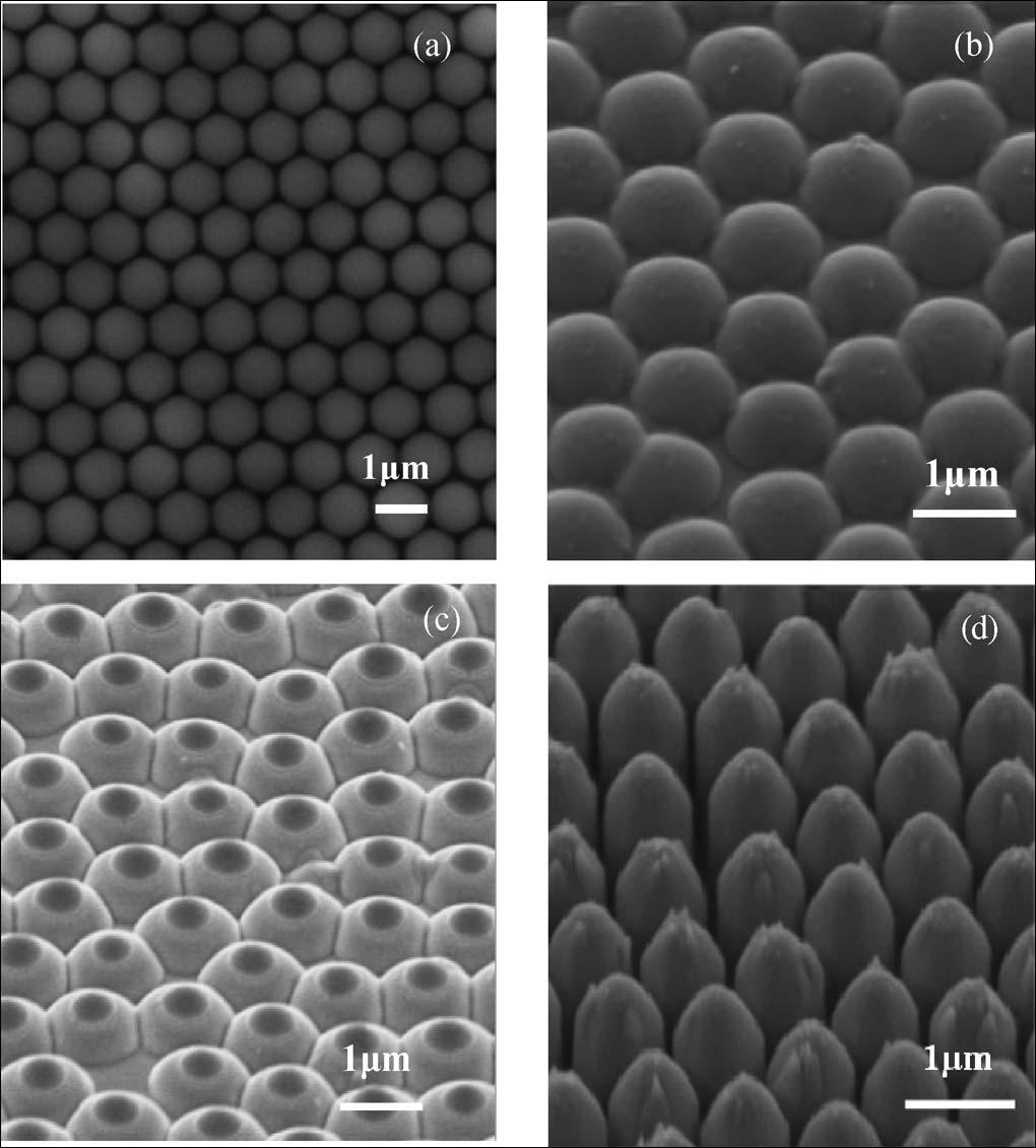 TABLE 1 RIE conditions for five samples (A1, A2, A3, A4, and A5) of GaN substrates deposited with SiO 2 microspheres with diameter of 1000 nm Fig. 1. (a) SEM image of the hexagonal close-packed SiO 2 microspheres with diameter of 1000 nm as a close-packed monolayer deposited on the GaN substrate prior to the RIE process.