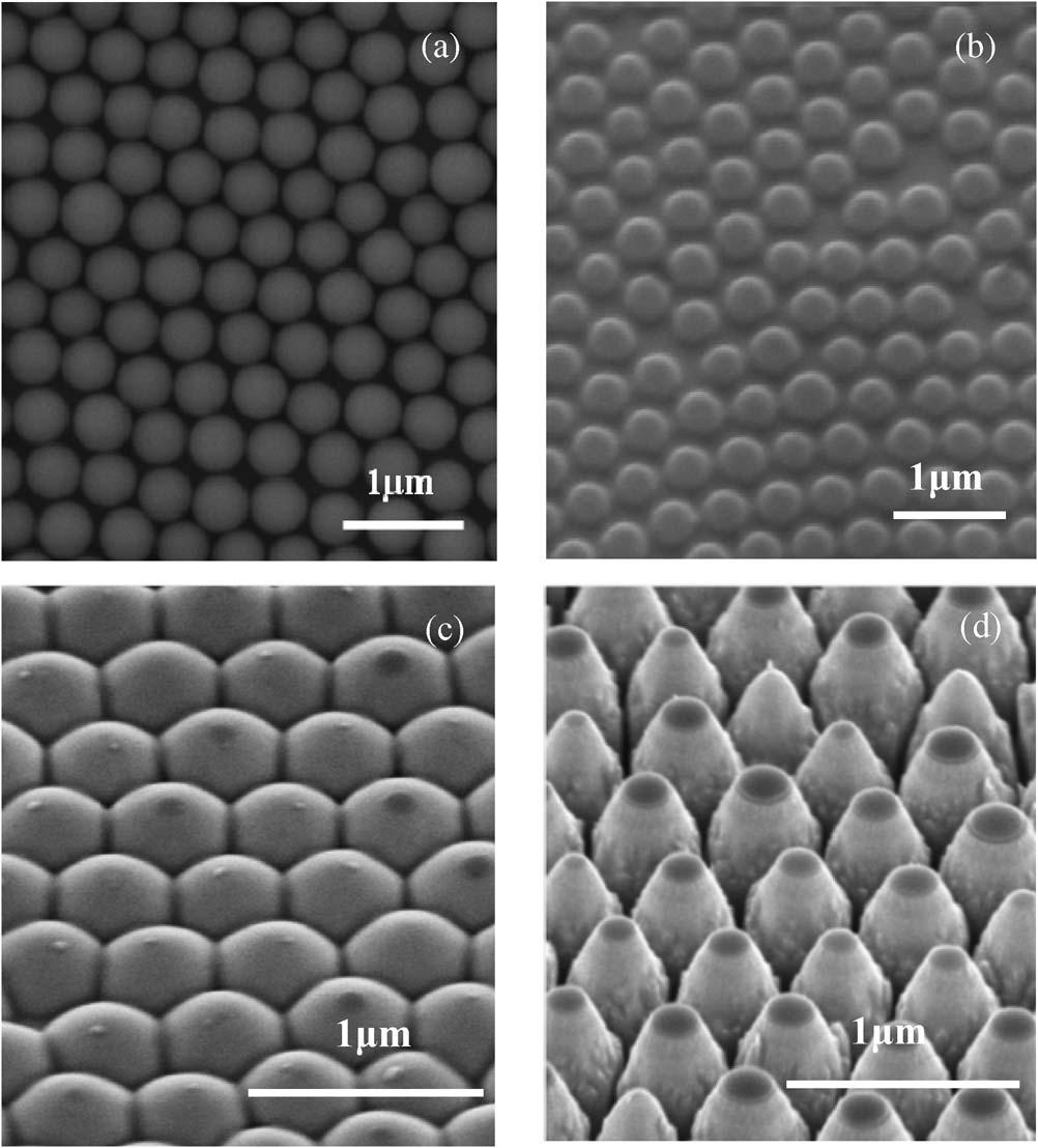 Fig. 2. (a) SEM image of the hexagonal close-packed SiO 2 microspheres with diameter of 500 nm deposited on GaN substrate prior RIE process.