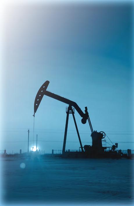 specifically designed for the rigorous use in the oil and gas industry.
