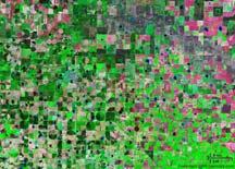 D: Irregular less vivid areas are agricultural fields of less prosperous