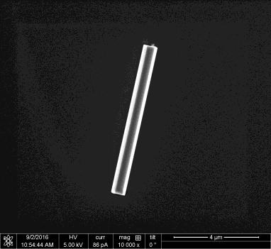 (d) SEM image of the bare InP NW laser on Al substrate.