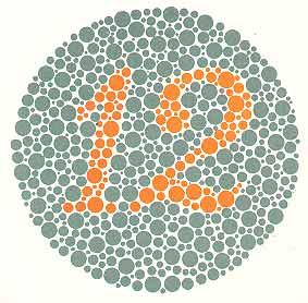 Demonstration: Ishihara test for color blindness. a. Different people do not think of the colors exactly the same way.