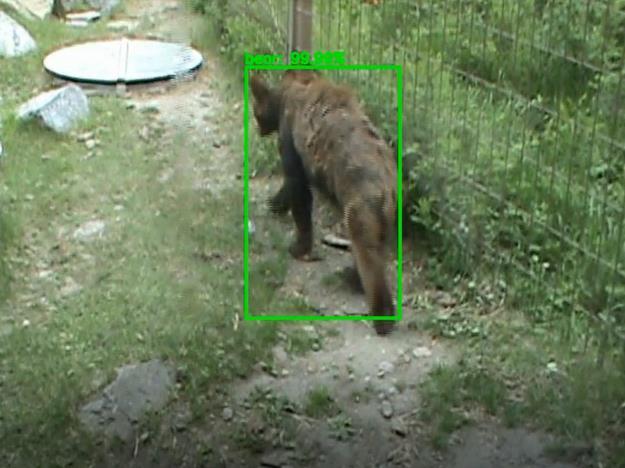 Project Example: Animal detection and Neural Network Animal Detection Project Neural