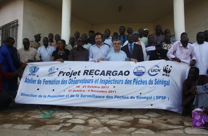 A database system for better information on Marine Turtle in West Africa put in place WWF organized a training workshop from 1st to 4th November in Dakar on how to use the new database system aiming