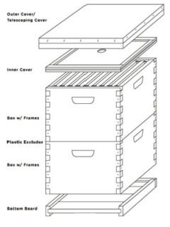Inner Cover 6. Outer Cover/Telescoping Cover Outer Cover/ Telescoping Cover Inner Cover ASSEMBLY STEPS: Stack Hive Now that you have assembled the boxes and frames, place the frames in the boxes.