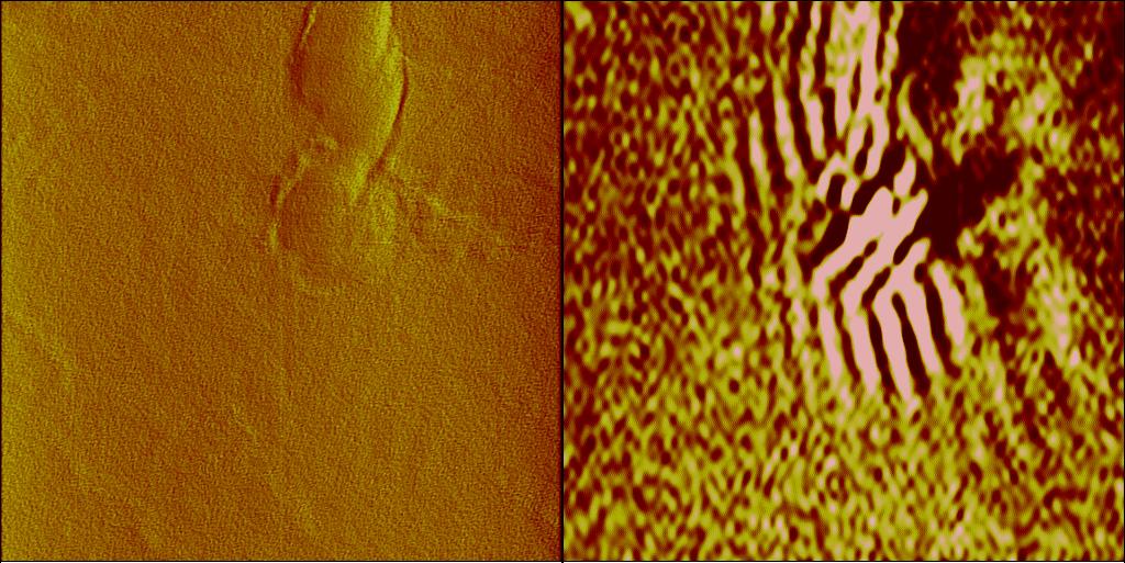surface topographic defects. The near field optics collects the scattered light only from the top 100nm beneath the surface. Thus defects in the contaminated layer are imaged.