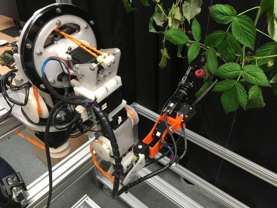 and vegetables Robots for research