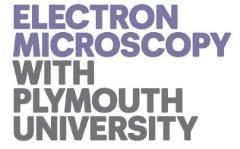 Collaboration Opportunities with PEMC Plymouth Materials Characterisation Project Thank You!
