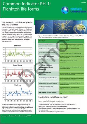 Biodiversity: from data to decision-making PLANKTON AND POLICY Data