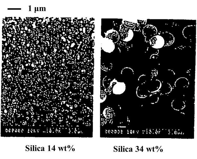 The silica phase in the hybrid films was observed by SEM.