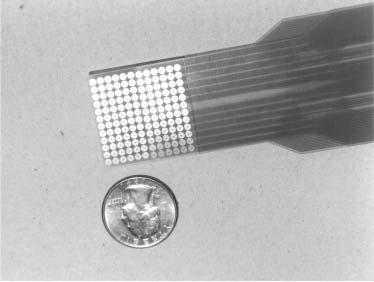 Seeing With the Brain 291 FIGURE 3 display. Close-up of 144-point (12 x 12) virtual ground electrotactile tongue threshold.