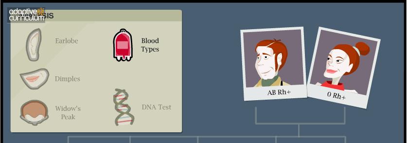 Blood type: Now that you know a little bit more about