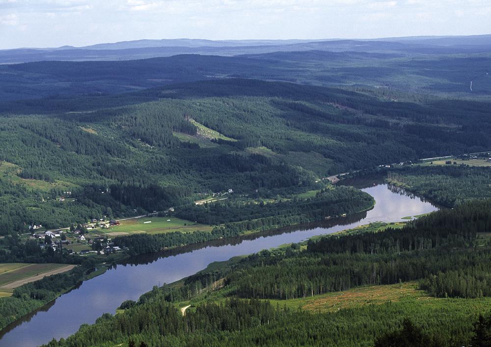 Resources for a forestry based bio economy: River Klarälven and endless