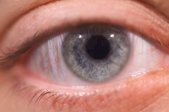 Our Eyes Iris Pupil Sclera Cornea