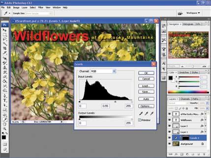 450 Learning Photoshop 9. In the Layers palette, click the layer that contains the yellow flowers to make it active. 10. Choose Layer > New Adjustment Layer > Levels. 11.