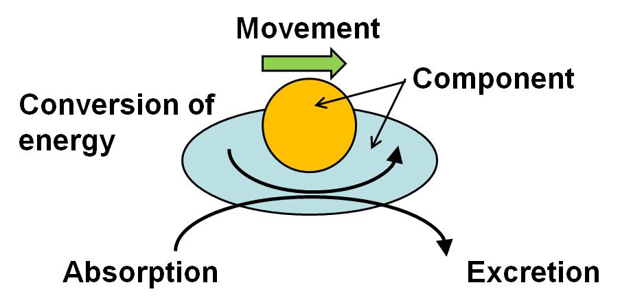 Fig. 1.4: Character of organism. The movement of the machine has been designed beforehand.
