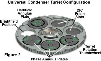 Features of Phase Contrast (0) (DF) Annular diaphragms in condenser Condenser annular diaphragms Select by rotating condenser turret Ph1: 10X objective Ph3:
