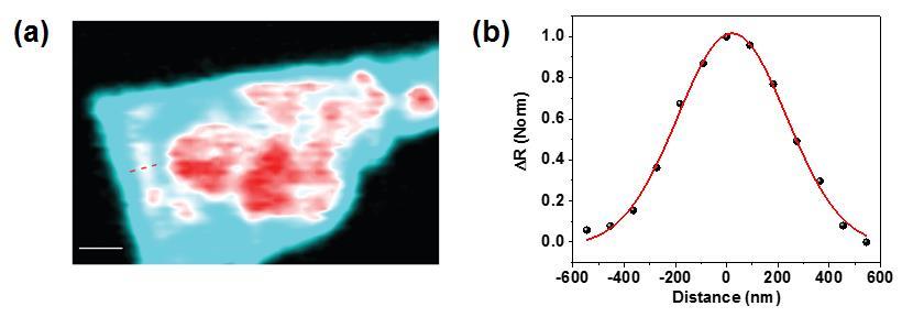 fig. S3. Spatial resolution of TAM.