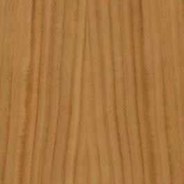 Maple Oak lacquered