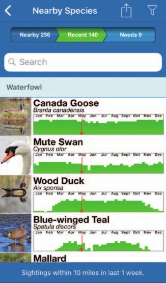 Lists birds near your exact location Lets you choose within what distance and date range Separately lists notable or rare species (and links directly to ebird list of bird