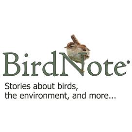 For birders wanting to expand their knowledge, this is a fantastic and often overlooked resource.