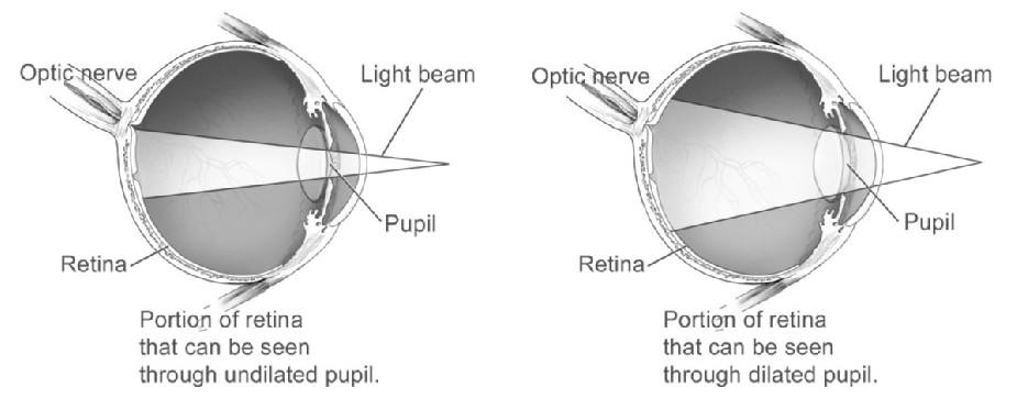 the number of accurate keypoints and mimic the pupil of human eye.