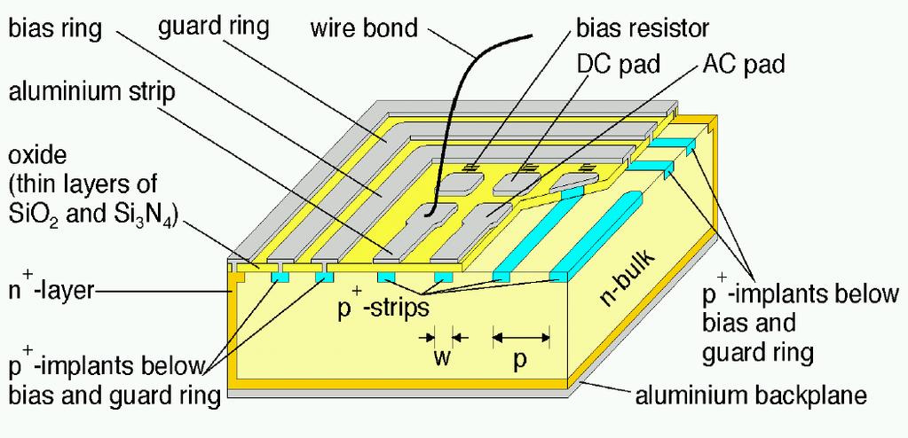 Design of the CMS Silicon Sensors Single sided sensors with p+ type strips in an n type bulk 6" wafer technology (Atlas: 4") AC coupled readout Pitch