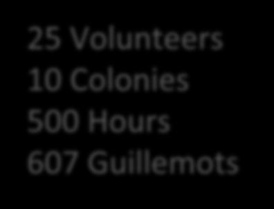 Hours 1,061 Guillemots South