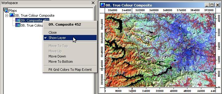 6 7 7. In the Maps tab the images will be listed in the same map viewer. The visibility of layers depends on their viewing order. Drag the interested layer to top to view it in the map window.
