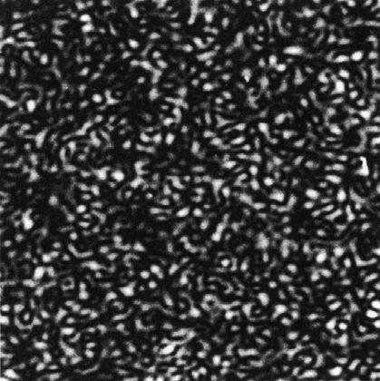 Appendix D Speckle When a diffusely reflecting surface is illuminated with a laser, each of the microscopic elements on the surface produces a diffracted wave.