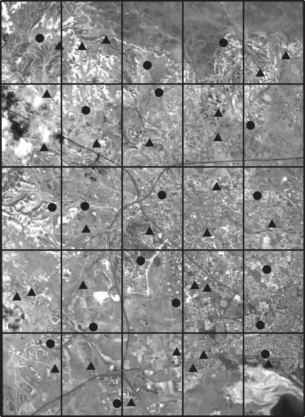 thorectified VHR Space Image Data and Kyriacos Alexandrou acquired a QuickBird image with the characteristics shown in Table 1; we also received an IKOOS image of the same scene for comparison.