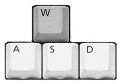 Moving and Turning Use either the arrow keys or the W,S,A,D keys to move forward, backwards or pan sideways.