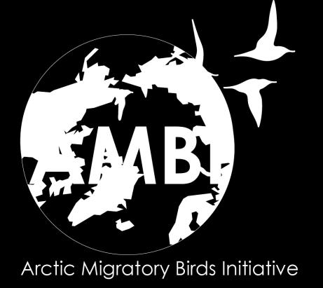 Flyway Issues Important breeding and staging sites for Spoon-billed Sandpiper, Bartailed Godwit and Dunlin need to be identified and protectedin Arctic Alaska and Russia.