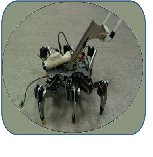 3. THE MOBILE ROBOT Figure 1 shows a six-legged mobile robot that is used to test the functionality of the control system.