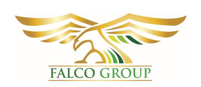 Falco Group Presentation Trust Owner: T2AC HOLDING INC.