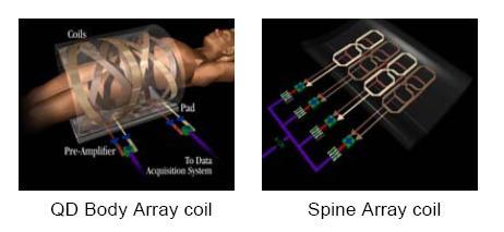 Phased Array Coils: Multiple surface coils.