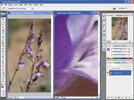 250 Learning Photoshop Figure 6-30. It is helpful to see individual pixels when using the Eyedropper Tool to pick a color from an image.