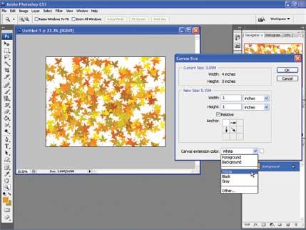Chapter 6 Painting Tools and Filters 251 The canvas size can be made larger or smaller by choosing Image > Canvas Size. This opens the Canvas Size dialog box, Figure 6-31.