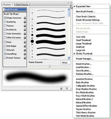 Chapter 6 Painting Tools and Filters 231 The Brushes Palette The Brushes palette contains many more options than the Brush Preset Picker.