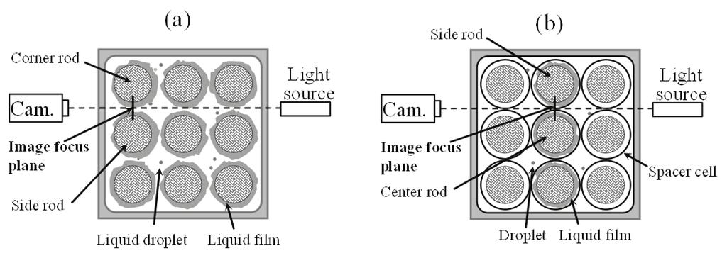 The image data are recorded by the system of the high speed camera (Phantom V7.1 - Vision Research Inc.) and the tele-microscope (Cassegrain - Seika Corporation).