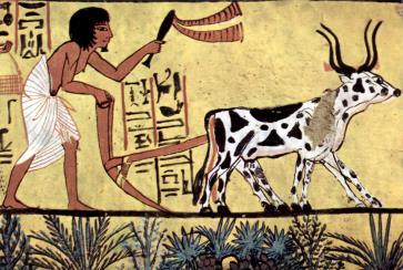 Agricultural Age (circa 10,000