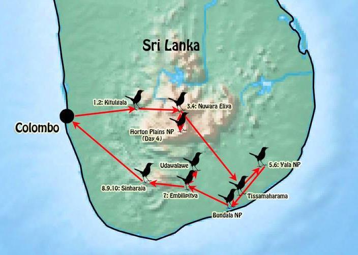 RBL Sri Lanka Itinerary 2 THE TOUR AT A GLANCE THE ITINERARY Day 1 Colombo and transfer to Kitulgala Day 2 Day 3 Day 4 Day 5 Day 6 Day 7 Day 8 Days 9 & 10 Day 11 Kitulgala Rainforest Kitulgala to