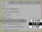 Setting up Cards, Folders, and Files Setting Raw Resolution There are three resolutions available for Raw files: 13.