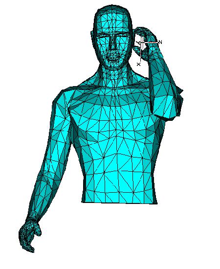 The resulting inhomogeneous model is presented in Fig.12. (a) Vertical cut to evidence layers (b) Skeleton inside the model Fig. 10. Whole body homogeneous model. Fig. 12. Layered human model.