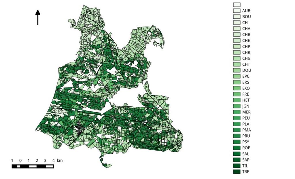 Coll. ESE / Paris Sud Remote Sensing + forest models: ==>