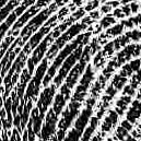 Since there is no publicly available dataset consisting of pairs of low quality and high quality fingerprint image