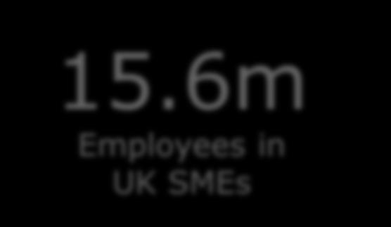 6m Employees in UK SMEs