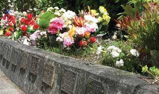 Scattering of Ashes Ashes can be scattered in appropriate places at Palmerston North s cemeteries eg.