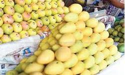Banganapalle Mangoes and six other products get GI Tag The world famous mangoes from Andhra Pradesh, the Banganapalle mangoes and six other products got the GI Tag for the year 2017-18 by the Indian
