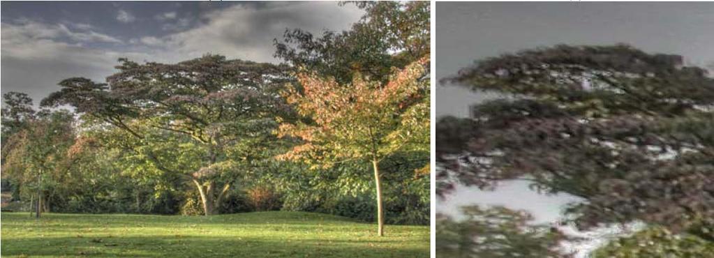 (c) (f) Fig. 6. HDRI generation and the influence of camera movement.